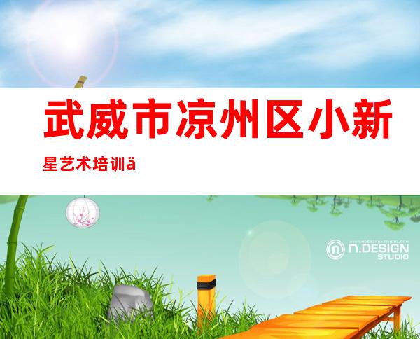 武威市凉州区小新星艺术培训中心有限公司